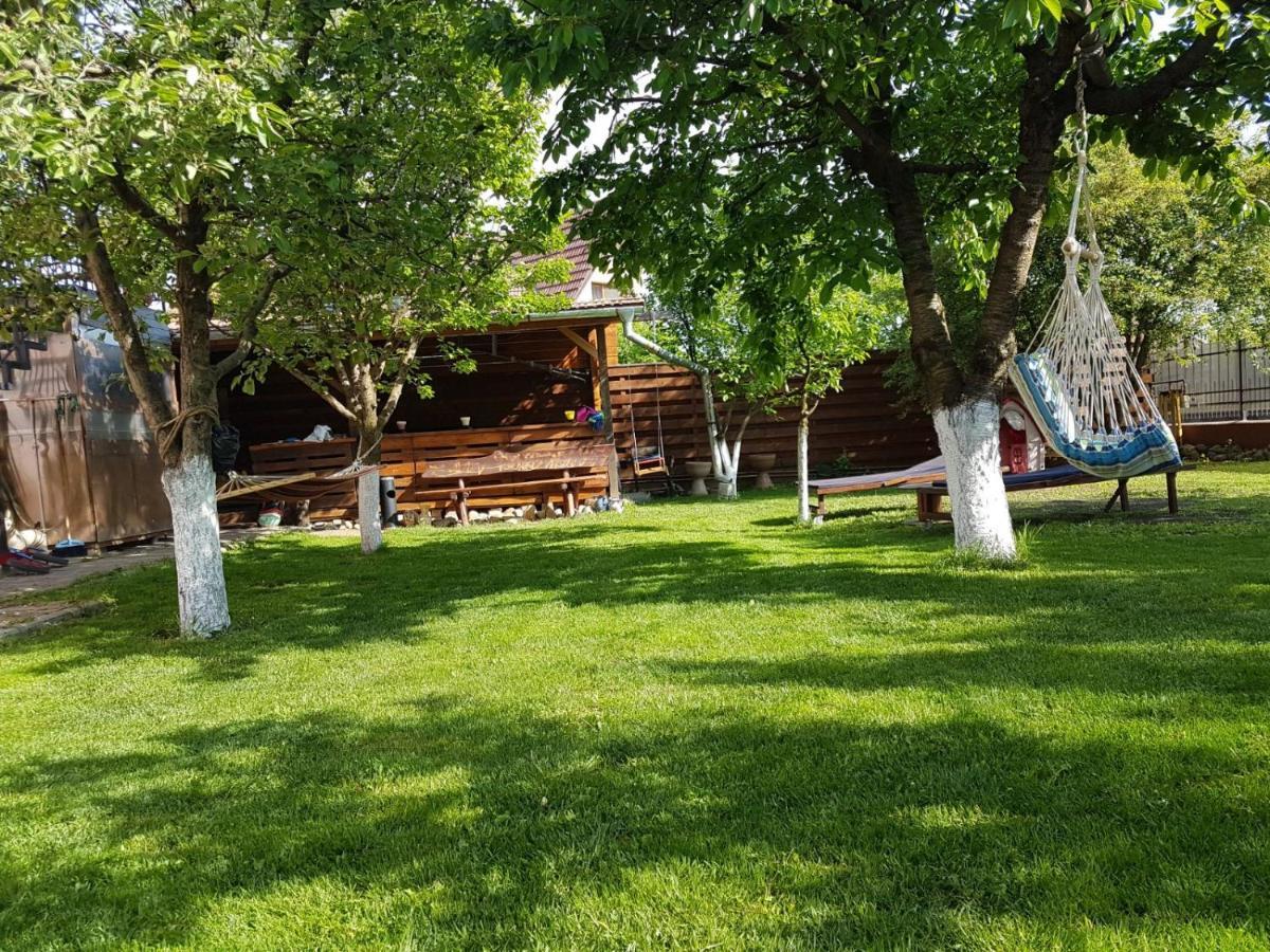 Sport Hostel Cluj ภายนอก รูปภาพ