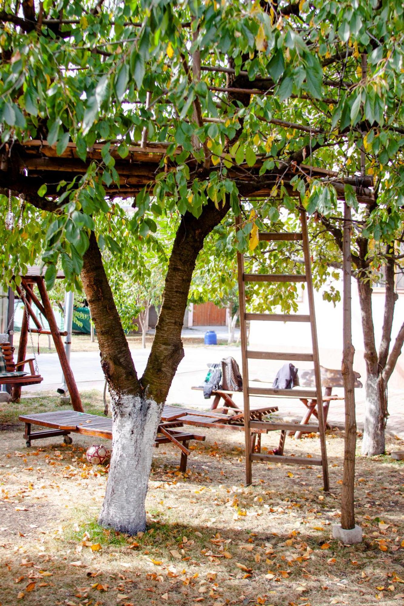 Sport Hostel Cluj ภายนอก รูปภาพ